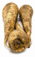 Pastinak 5 kg
