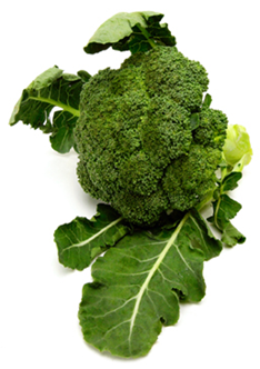 Broccoli 6 KG