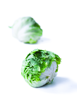 Icebergsalat 10 stk.
