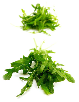 Rucola salat 1 kg