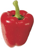 Peberfrugt rød 1 kg*