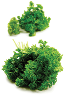Kruspersille 1 KG