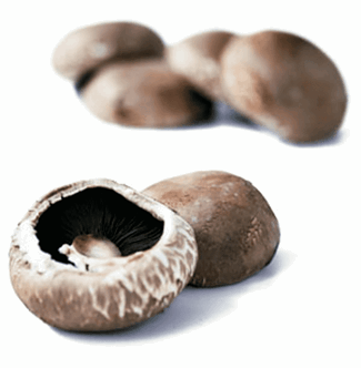 Portobello 1,5 kg ØKO