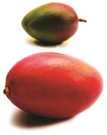 Mango 4 kg