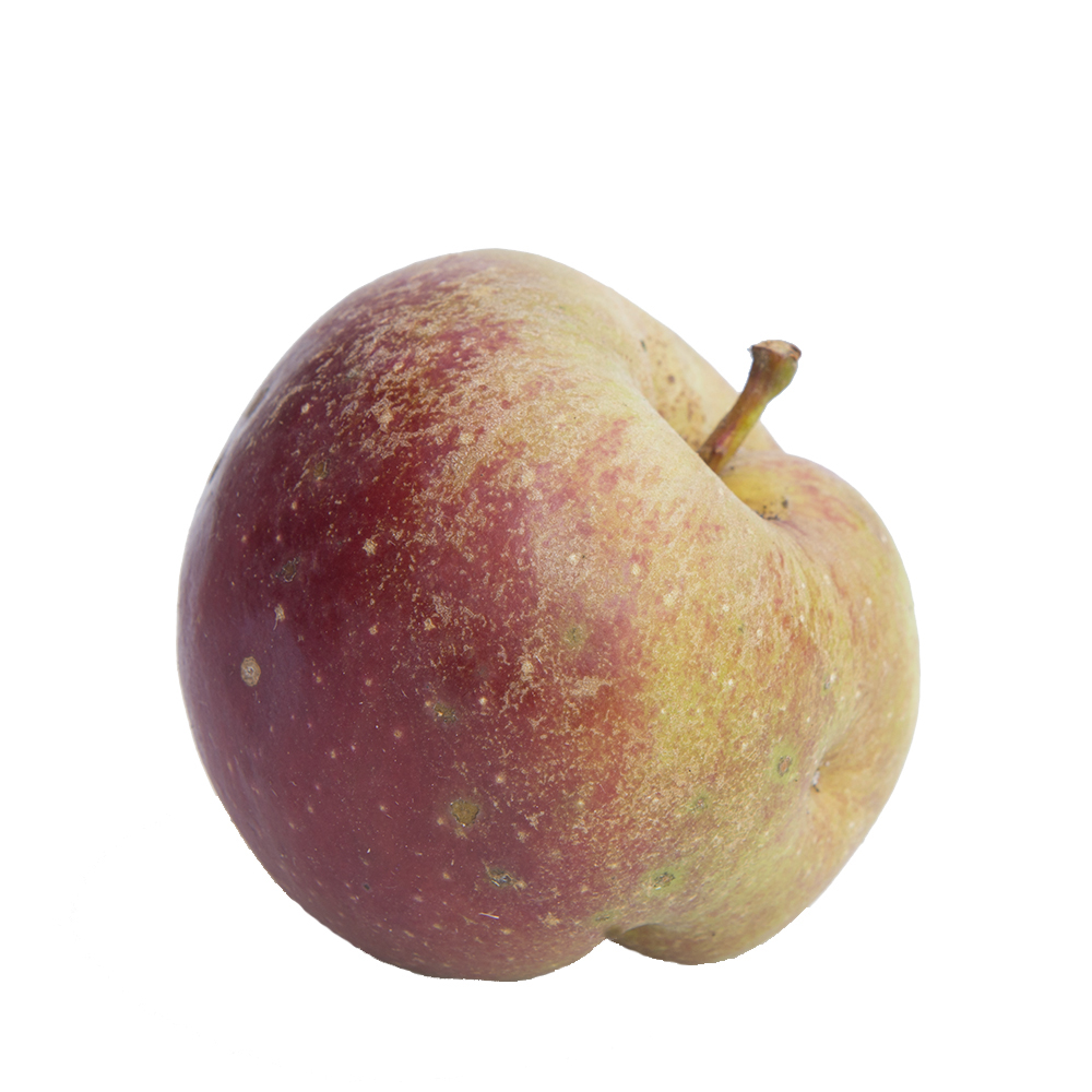 Æbler Belle de Boskoop 12 kg