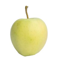 Æbler Gold Delicious 13KG ØKO