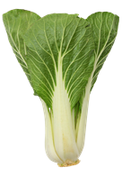Pak Choy 12 stk