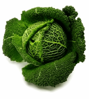 Savojkål 8x600 g+ DK