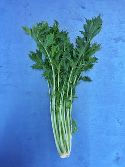 Mizuna 1 KG