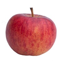 Æbler Topaz, 13 KG ØKO