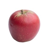 Æbler Holsteiner Cox 12 kg