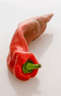 Palermo Peber rød 3 KG