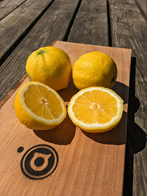 Søde citroner 6 kg ØKO