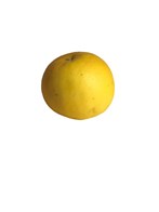 Hvid grapefrugt 6 kg ØKO