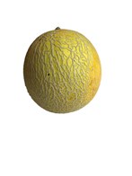 Galia Melon 5 kg