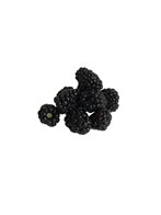 Brombær 1 x 125 gram ØKO