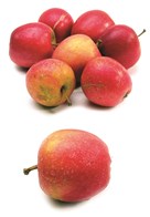 Æbler 2 Kg*