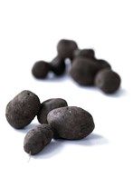 Kartoffel Blå Congo, 3 KG ØKO