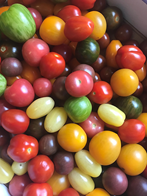 Tomat mix vild 3 kg ØKO