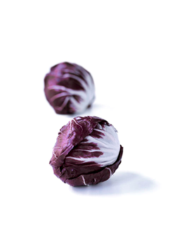 Radicchiosalat 12 stk.
