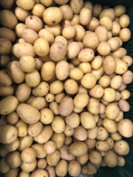 Kartofler små nye udl 6 kg