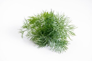 Dild 100 g ØKO