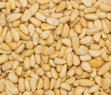 Pinjekerner 5 kg