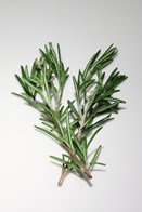 Rosmarin 40 gram ØKO