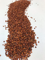 Rød Quinoa 4 KG ØKO