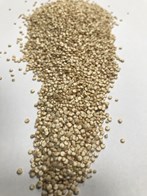 Hvid quinoa 5 kg