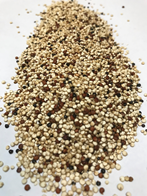 Blandet quinoa 4 kg ØKO