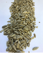 Solsikkekerner 5 kg