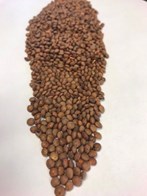 Brune linser 5 kg
