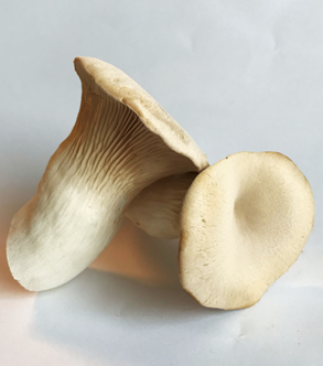Kejserhat 1 kg