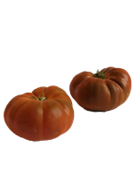 Othello-bøftomater 5 kg ØKO