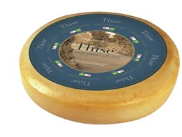 Bernstein Grubé 48+ ca 1,8 kg