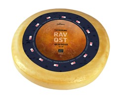 Thise Thyborøn rav ost 48+ 7kg