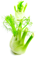 Fennikel 2,5 kg*