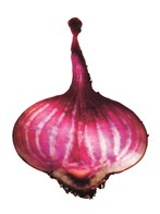 Rødbeder stribede 2 kg*