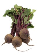 Rødbeder med top 10 x 400 gr.