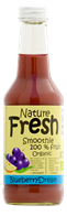 Smoothie Blåbær 12x25 cl