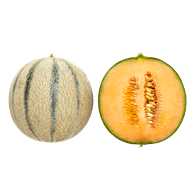 Melon Cantaloup 6 stk.