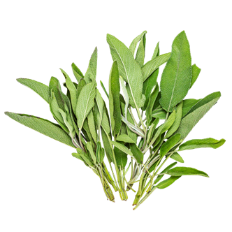 Salvie 100 g