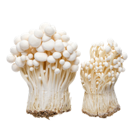 Enoki svampe 100 g