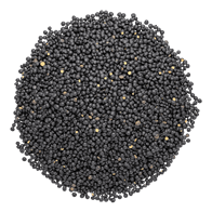 Belugalinser 4 kg