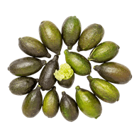 Finger-limes 18x125 g