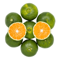 Mandariner Satsuma grøn 6 kg