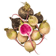 Ræddikesymfoni 500 g DK