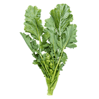Cime di rapa 12x300 g