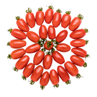 Tomat San Marzano mini 10x500g